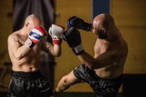 Vista lateral de dos boxeadores tailandeses luchando en el gimnasio - foto de stock