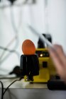 Яйцо на цифровом мониторе яйца для тестирования на яйцефабрике — стоковое фото