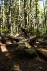 Jeune cycliste cycliste en forêt au soleil — Photo de stock