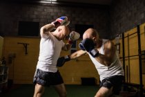 Vue latérale de deux boxeurs thaïlandais pratiquant la boxe dans la salle de gym — Photo de stock