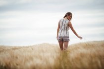 Женщина трогает пшеницу в поле в солнечный день в сельской местности — стоковое фото