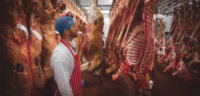 Carnicero mirando la carne roja colgada en el almacén de la carnicería - foto de stock