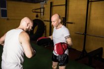 Deux boxeurs thaïlandais sportifs pratiquant la boxe en salle de gym — Photo de stock