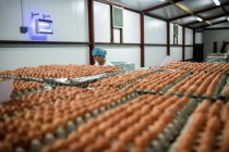 Trabajadora usando tableta digital en fábrica de huevos - foto de stock