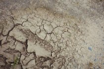 Close-up de solo seco rachado marrom — Fotografia de Stock