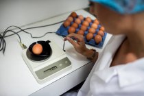 Female staff examining egg on digital egg monitor in egg factory — Stock Photo