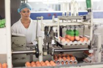 Розглядаючи співробітницею яйця на конвеєрі яйце заводі — стокове фото