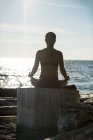 Visão traseira da mulher praticando ioga na madeira à deriva no dia ensolarado — Fotografia de Stock