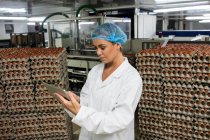 Personale femminile che utilizza tablet digitale in fabbrica di uova — Foto stock