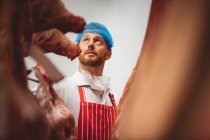 Butcher looking at the red meat hanging in storage room at butchers shop — Stock Photo