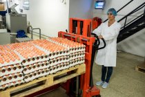 Female staff loading carton of eggs on pallet jack in egg factory — Stock Photo