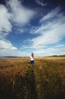 Задній вид Жінка вигулює через пшенична сфера на сонячний день — стокове фото