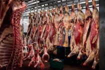 Красное мясо висит на складе в мясной лавке — стоковое фото