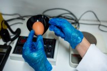 Imagen recortada de trabajadora examinando huevo en monitor de huevo digital en fábrica de huevo - foto de stock