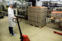 Pessoal feminino segurando palete jack na fábrica de ovos — Fotografia de Stock