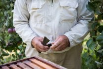 Sección media del apicultor que trabaja en un huerto apícola - foto de stock