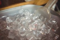 Primo piano del secchio di ghiaccio al bancone del bar — Foto stock