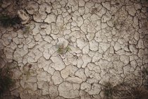 Primer plano del suelo agrietado marrón seco - foto de stock