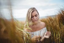 Mulher tocando colheita de trigo no campo no dia ensolarado — Fotografia de Stock