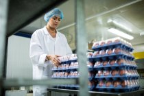 Personal femenino que organiza cajas de huevos junto a la línea de producción en la fábrica de huevos - foto de stock