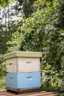 Colmeia de abelhas no jardim apiário no dia ensolarado — Fotografia de Stock