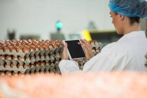 Attentive female staff using digital tablet in egg factory — Stock Photo