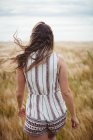 Visão traseira da mulher caminhando pelo campo de trigo no dia ensolarado — Fotografia de Stock