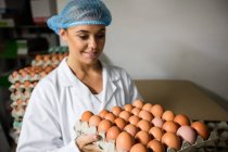 Retrato do pessoal feminino segurando bandeja de ovos na fábrica — Fotografia de Stock