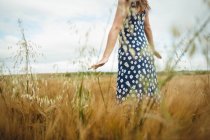 Mittelteil der Frau berührt Weizen im Feld — Stockfoto