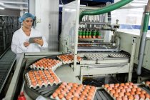 Femmina che utilizza tablet digitale mentre esamina le uova sul nastro trasportatore in fabbrica — Foto stock