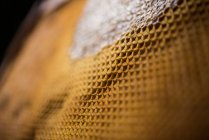 Primo piano di nido d'ape riempito di miele — Foto stock