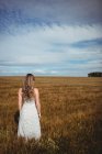 Вид ззаду жінки, що стоїть на полі пшениці в сонячний день — стокове фото