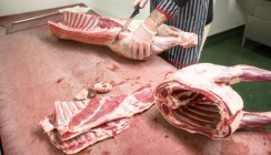 Sección media del carnicero cortando las costillas de la canal de cerdo en la carnicería - foto de stock