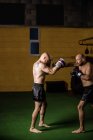 Boxer tailandesi che praticano la boxe in palestra — Foto stock