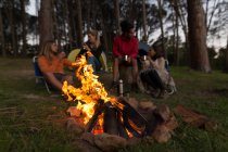 Group of friends having coffee near campfire at campsite — Stock Photo