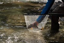 Partie médiane du pêcheur détenant du poisson dans un filet de pêche — Photo de stock