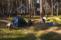 Туристы ставят палатку в лесу в солнечный день — стоковое фото