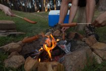 Primer plano del grupo de amigos asando salchichas en fogata en el camping - foto de stock