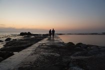 Vue arrière du couple marchant sur la promenade près du bord de mer — Photo de stock