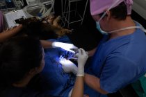 Хірурги, що керують собакою в операційному театрі в лікарні тварин — стокове фото
