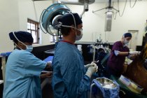 Chirurghi che manovrano un cavallo in sala operatoria in ospedale — Foto stock