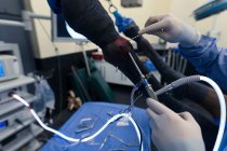 Primo piano del chirurgo che manovra un cavallo in sala operatoria — Foto stock
