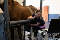 Hermosa cirujana examinando un caballo en el hospital - foto de stock