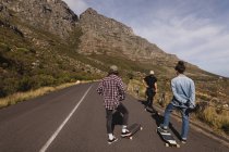 Vista trasera de skateboarders de pie con skateboards en descenso - foto de stock