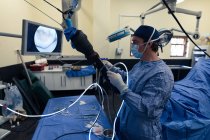 Хирург оперирует лошадь в операционной в больнице — стоковое фото