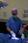 Хірург операційних собака на театрі операції в лікарні тваринного — стокове фото