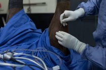 Cirurgiã examinando um cavalo no teatro de operações no hospital — Fotografia de Stock