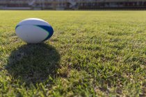 Close-up de uma bola de rugby no chão em um dia ensolarado — Fotografia de Stock