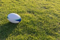 Vista de ángulo alto de una pelota de rugby en el suelo del estadio en un día soleado - foto de stock