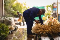 Vista laterale dell'agricoltore maschio caucasico senior che organizza ravanello raccolto sul mercato ortofrutticolo — Foto stock